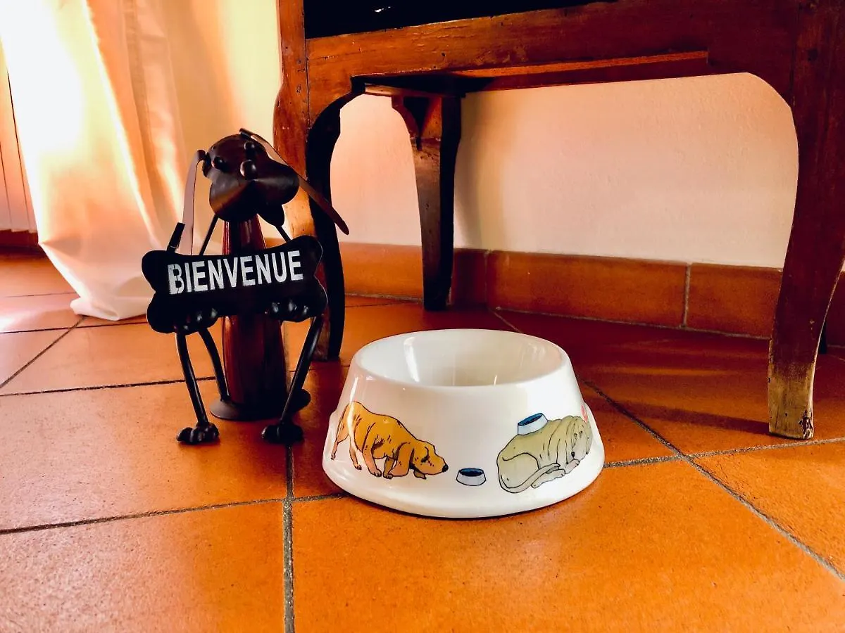 Apartamento Historical J&D Florencia Italia